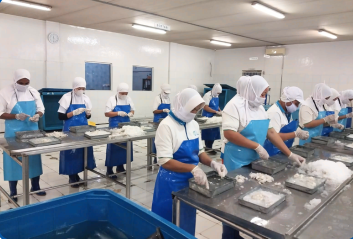 Processing Area 3